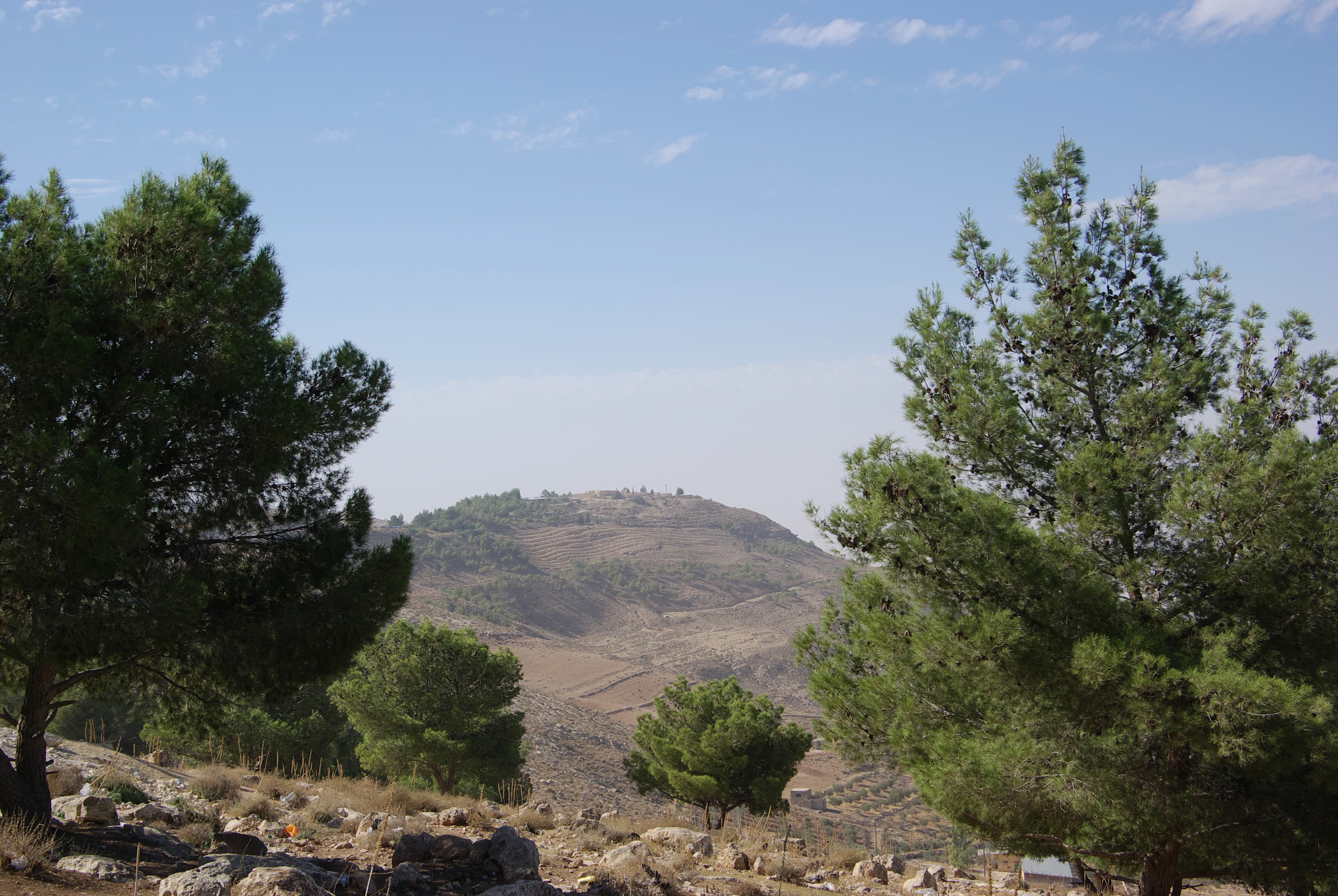 הר נבו