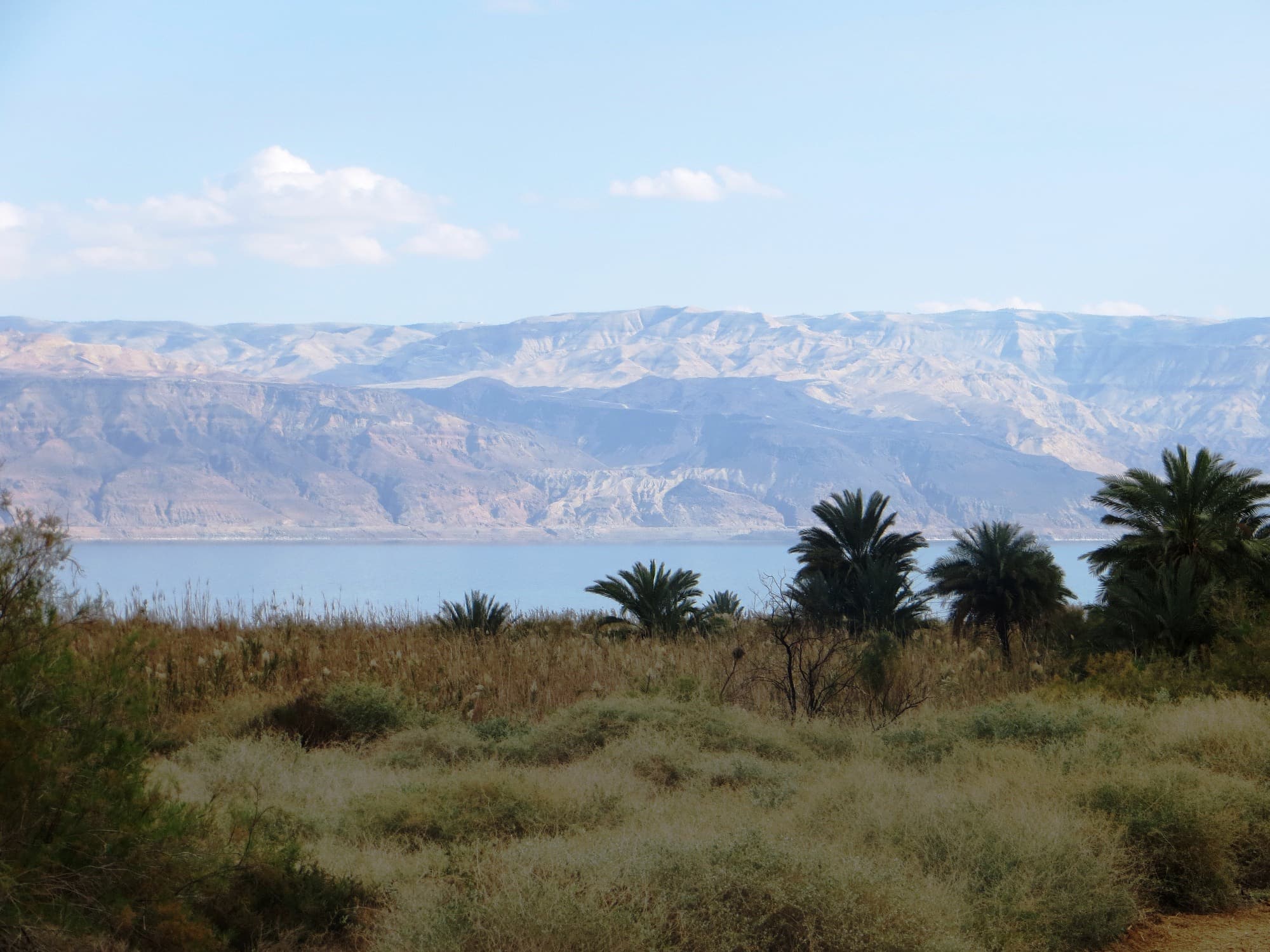 עינות צוקים