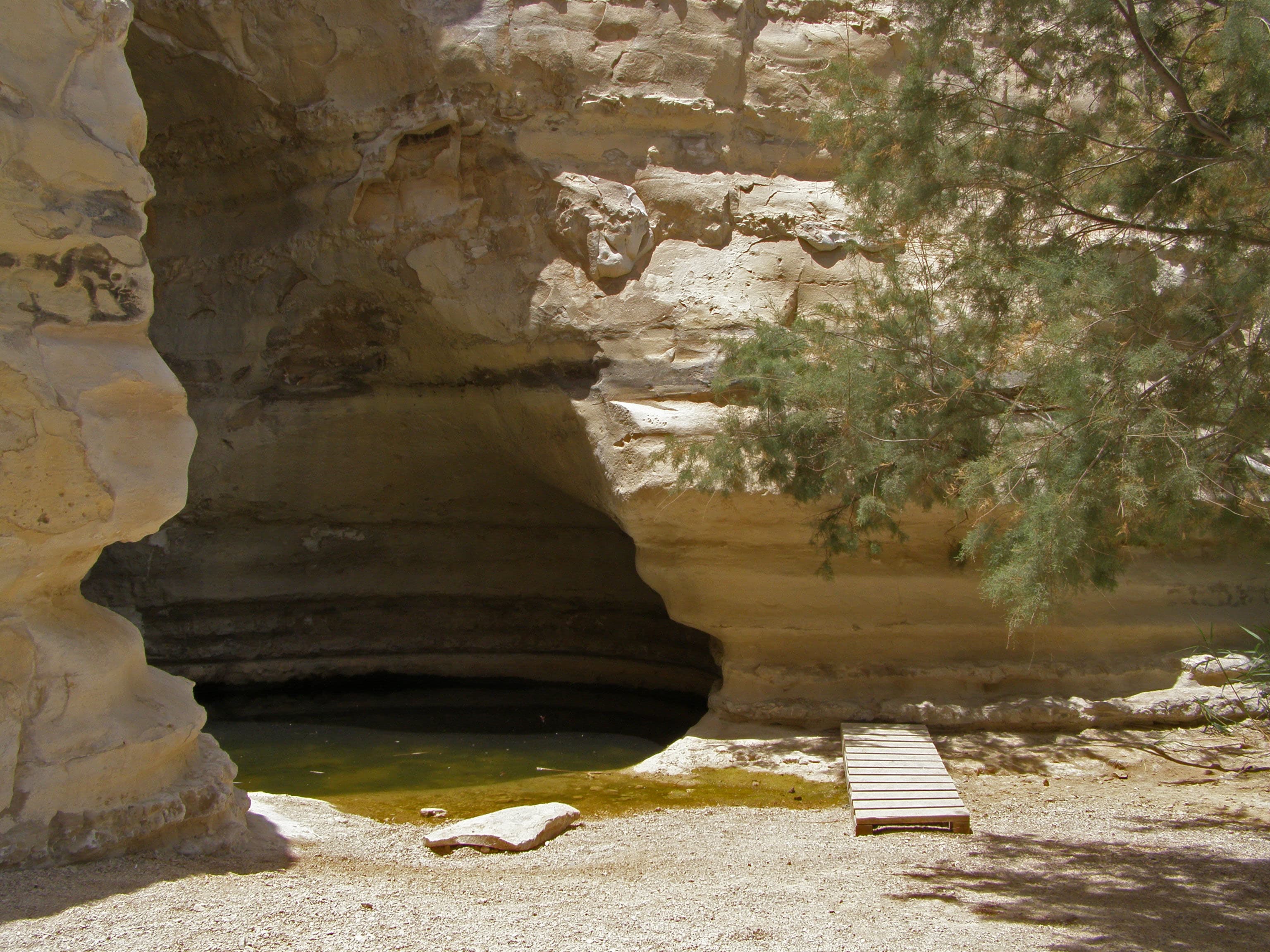 עין עקב