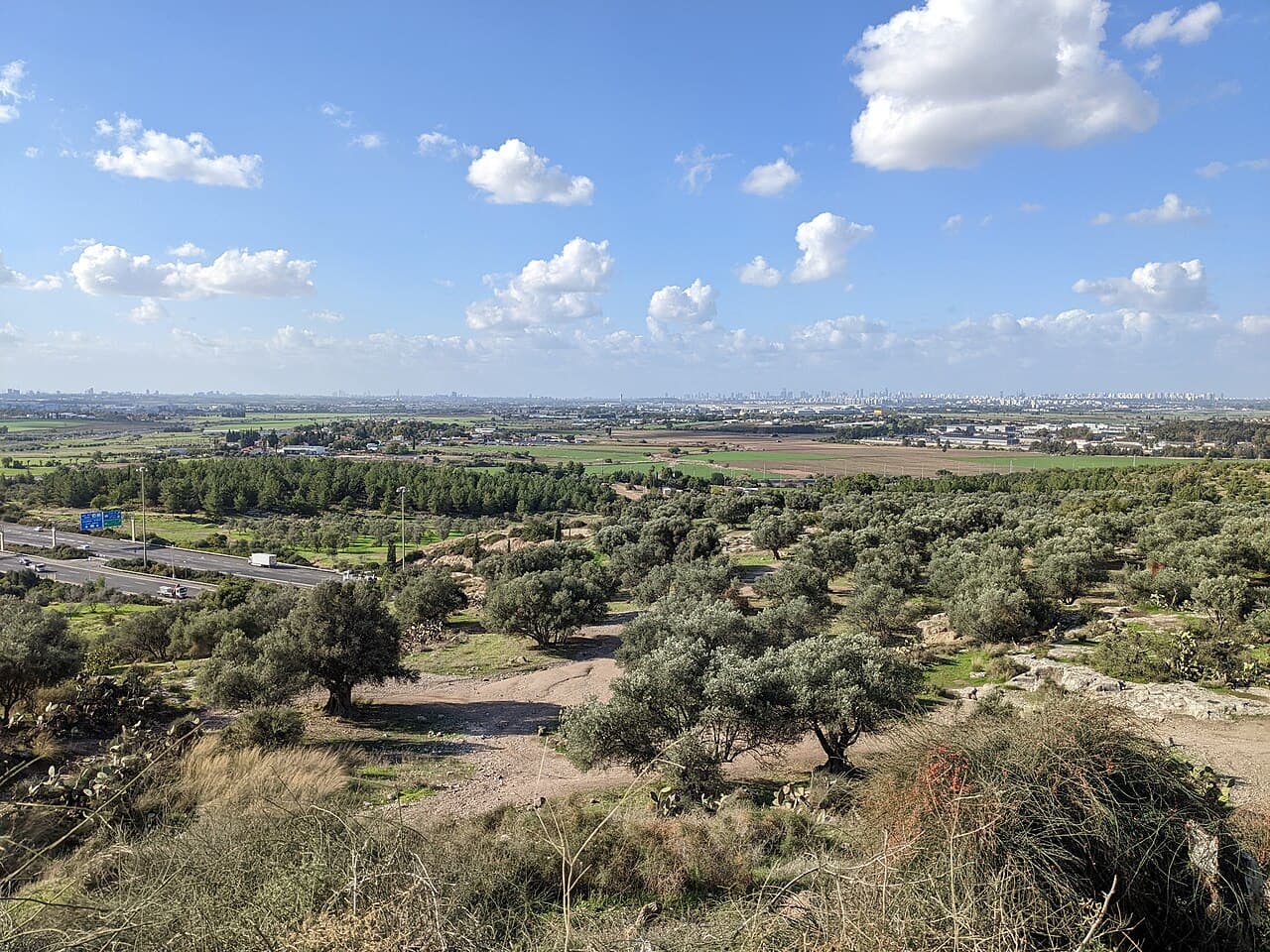 תל חדיד